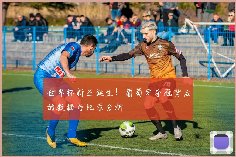 世界杯新王诞生！葡萄牙夺冠背后的数据与纪录分析