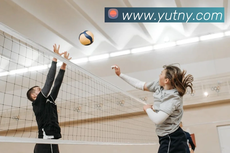 9游会官网首页入口APP 封面图